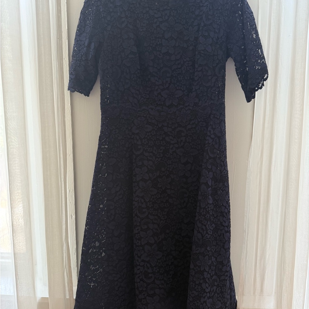 Teri John Navy Dress